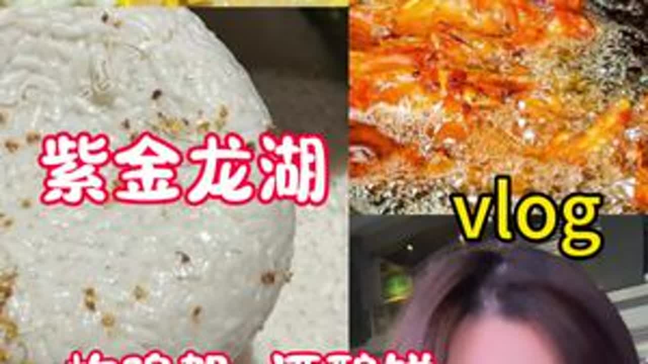 东北炸鸡架真的好好吃啊 #南京  #炸鸡架 #酒酿饼 #夜市里的烟火气 #美食vlog