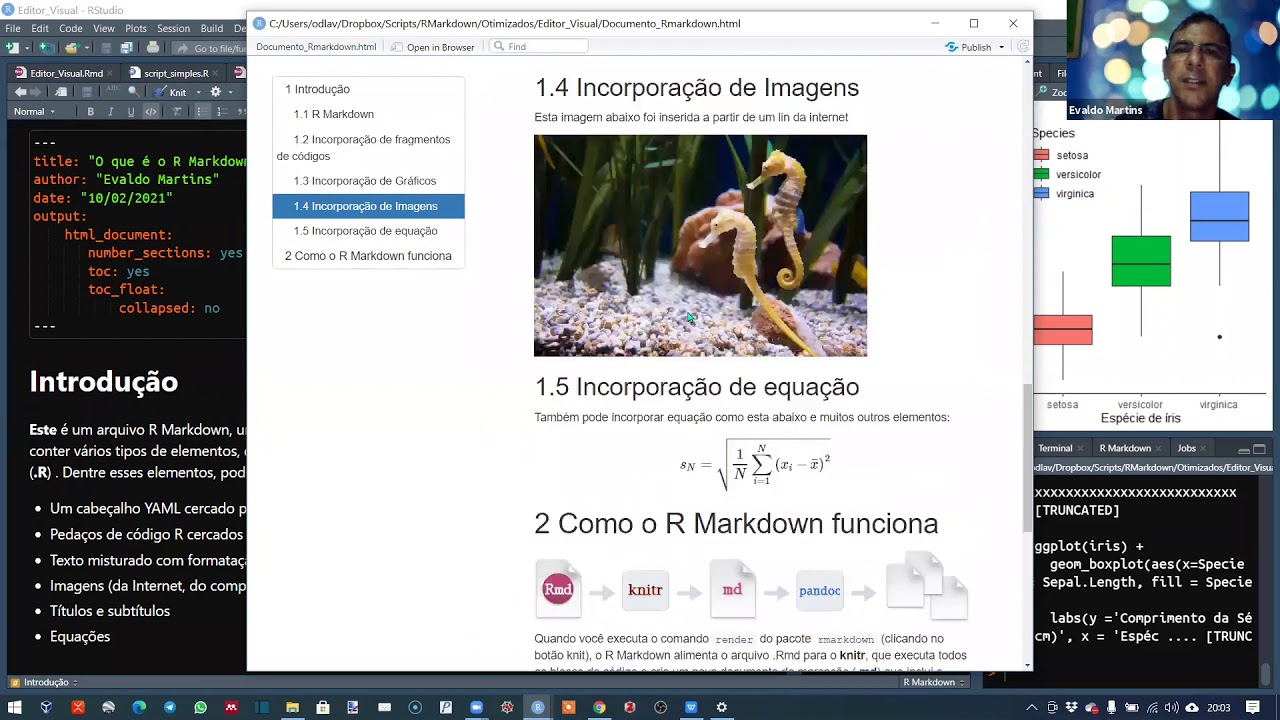 R Markdown com o Editor Visual - Parte 1