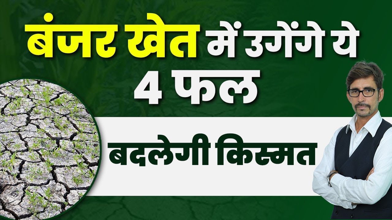 शुष्क भूमि बागवानी | dryland horticulture | rainfed and dryland agriculture | amla ki kheti