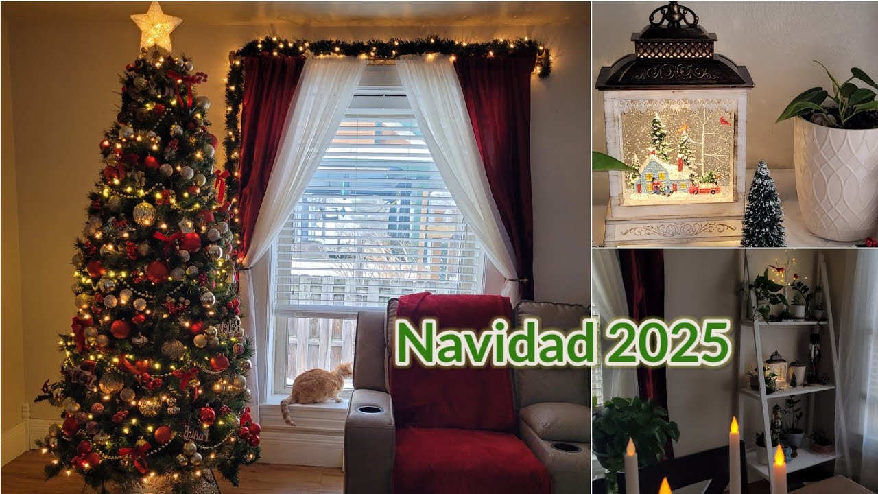 РОЖДЕСТВЕНСКИЙ ТУР ✨️🌲♥️