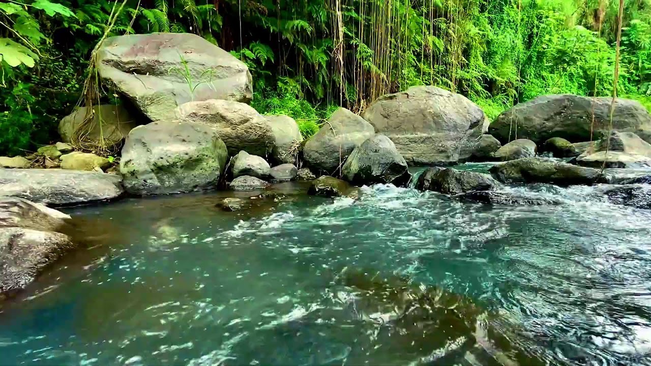 Peaceful River Flow – Therapy for Stress, Depression and Mental Calm