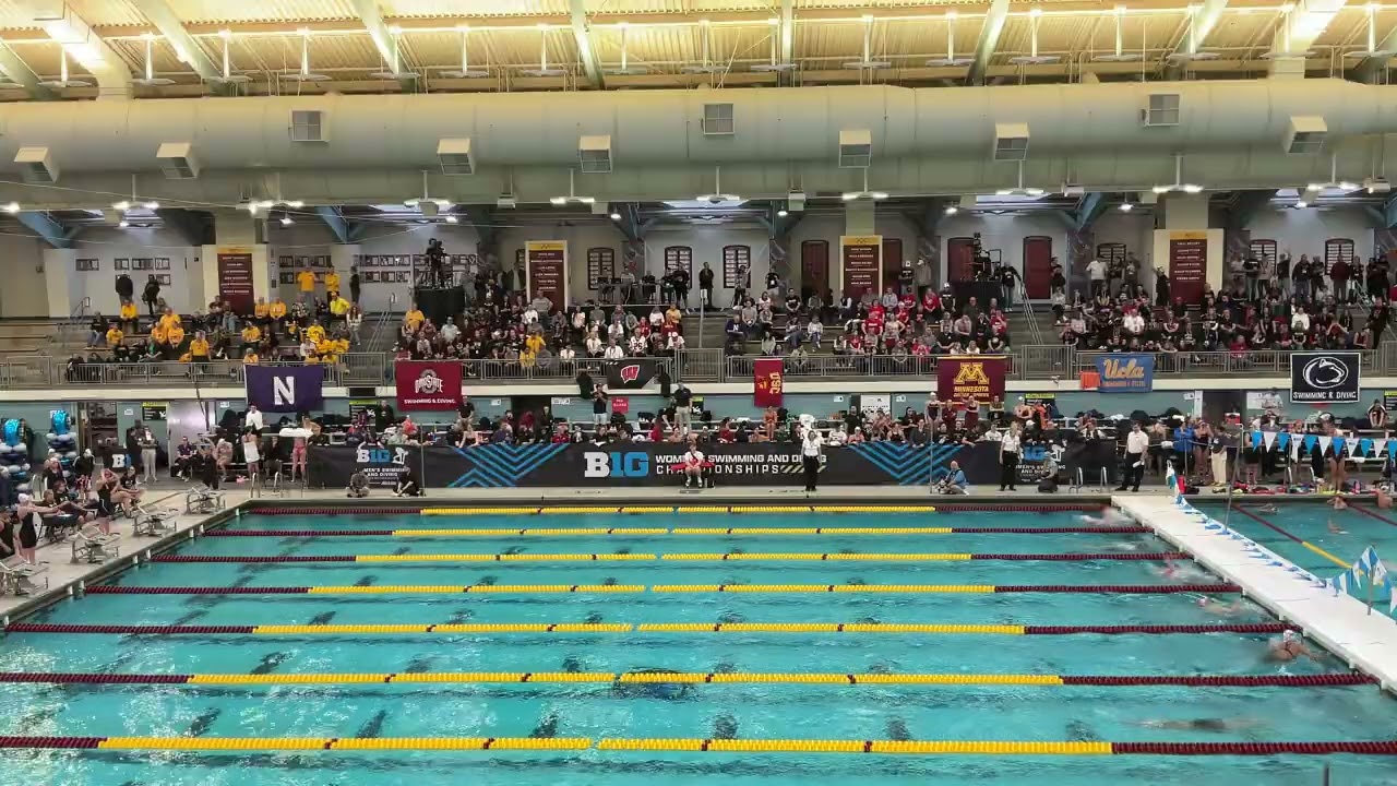 Prelims 200 breast - L Delmas