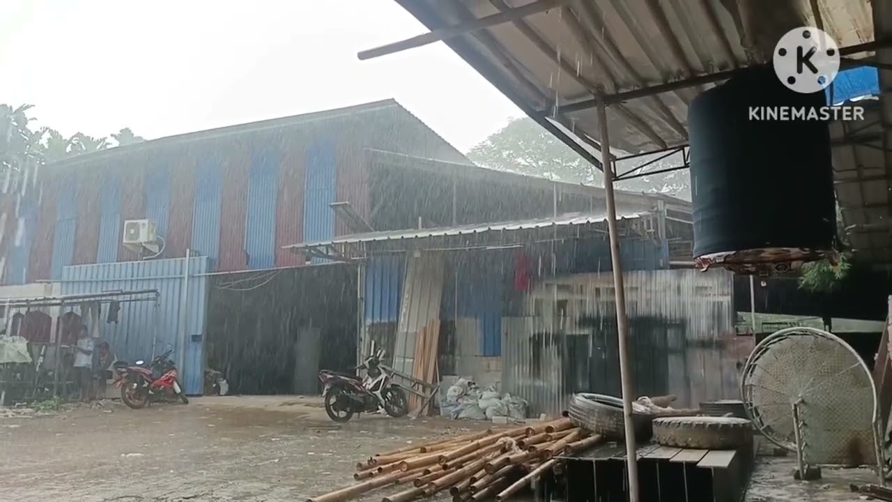 RAWATAN MURAI BATU YANG MASIH KURANG JEMUR DAN PENGEMBUNAN ‼️