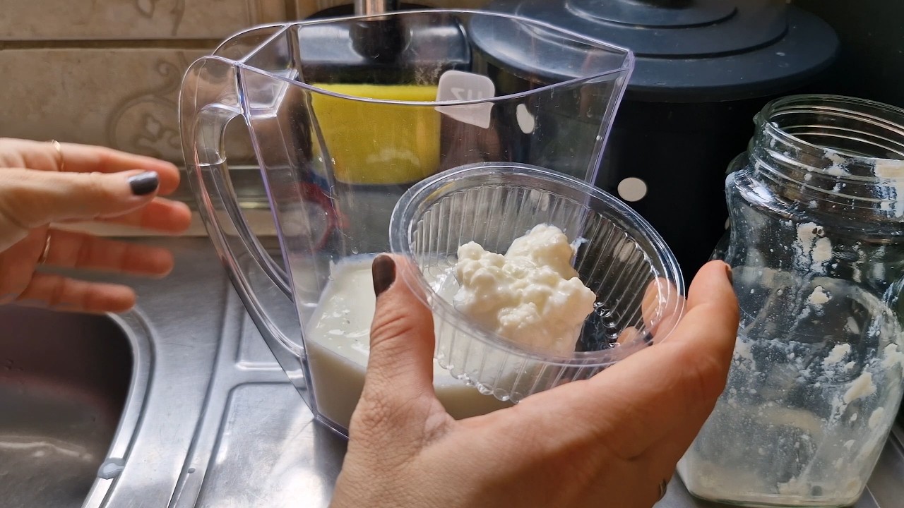 Como cultivar e consumir o kefir de leite?