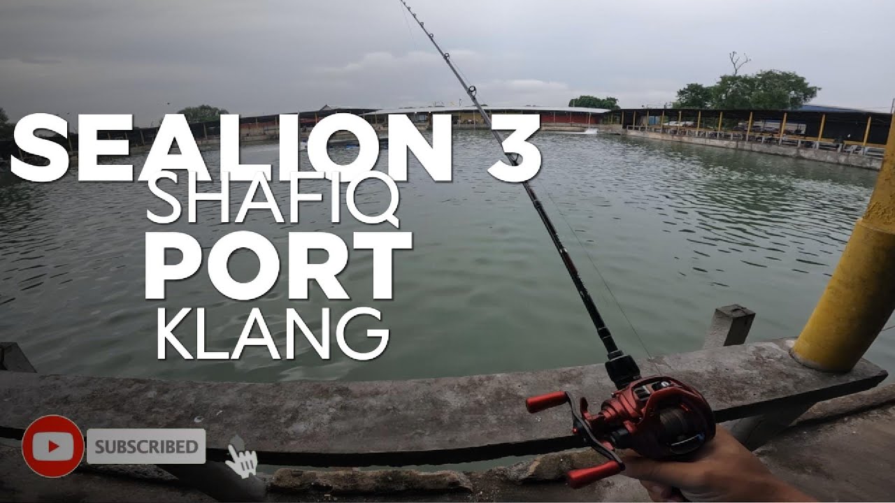 Hampir KUMPAU last minit GASAK di KOLAM SEALION 3 SHAFIQ PORT KLANG