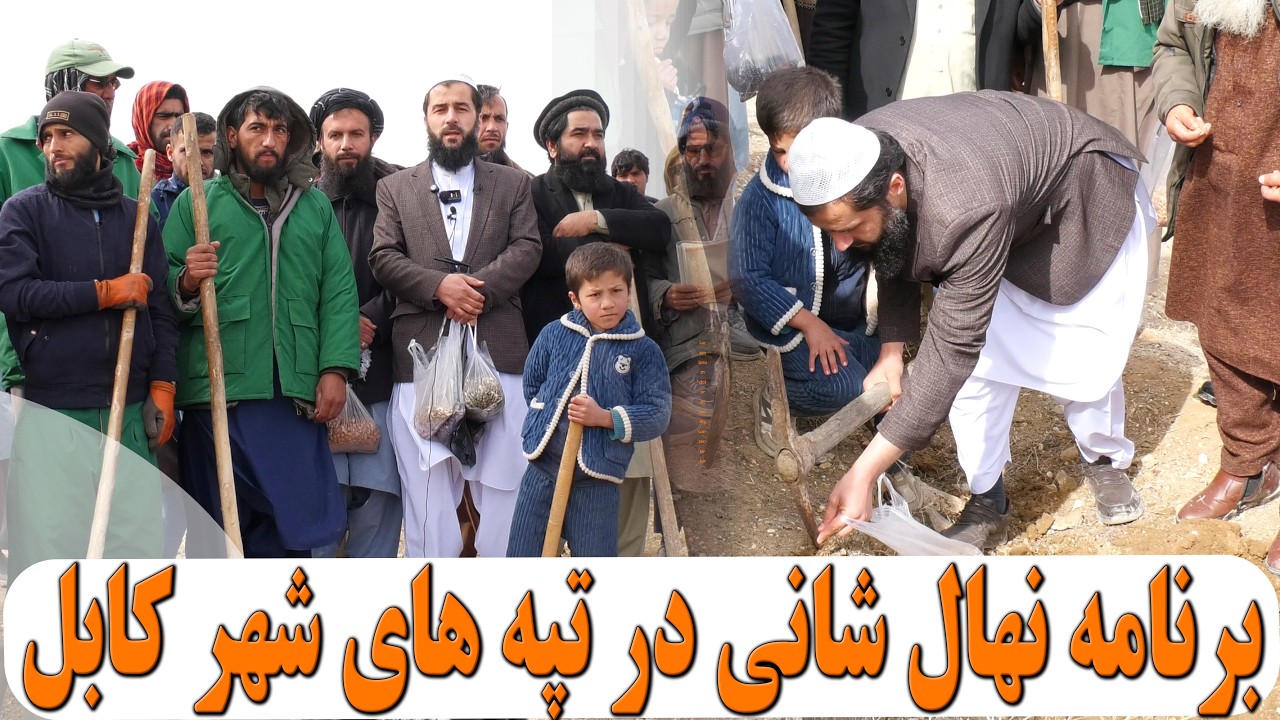 برنامه نهال شانی🌿 در تپه های شهر کابل | استاد حسیب الله حنیف غفوری