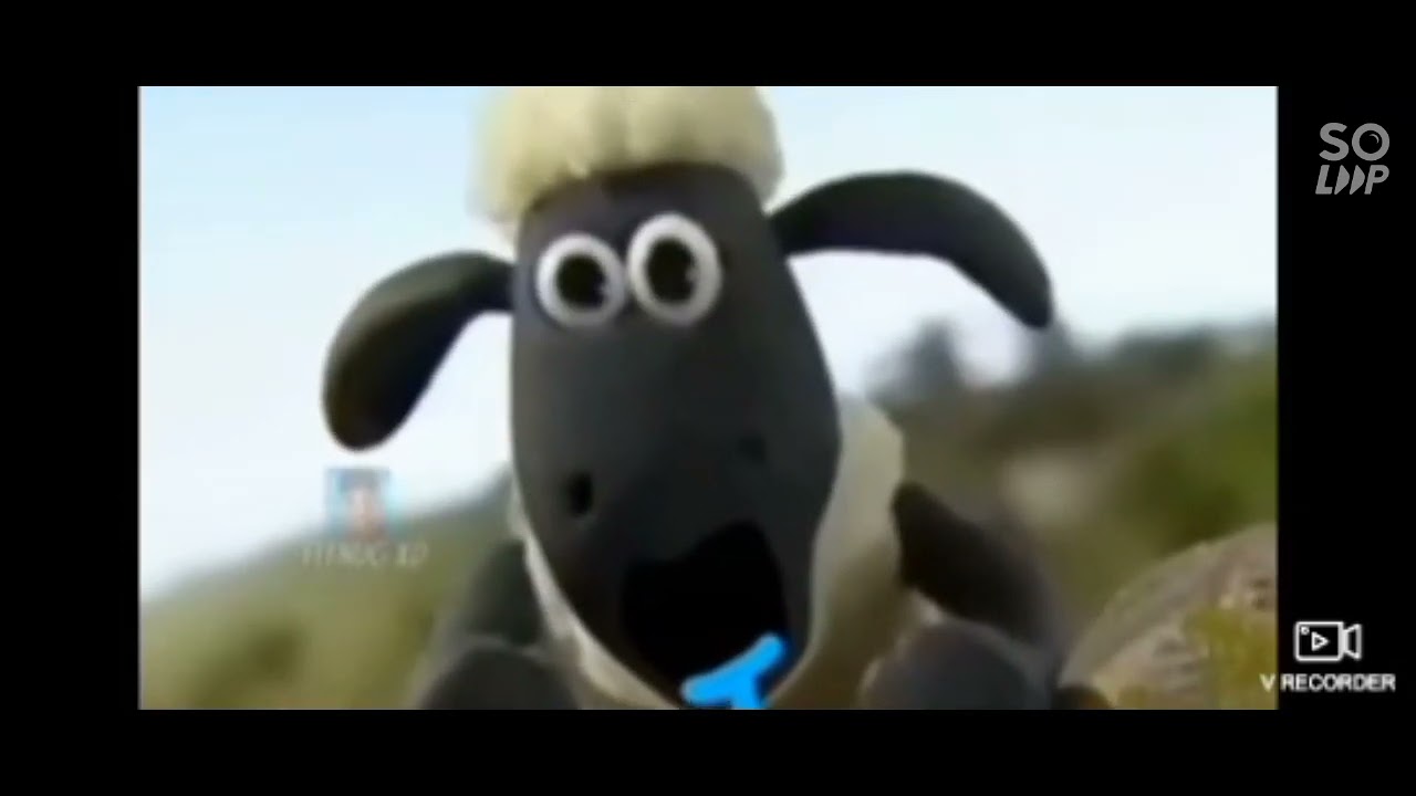 Kumpulan meme Shoun the sheep lucu