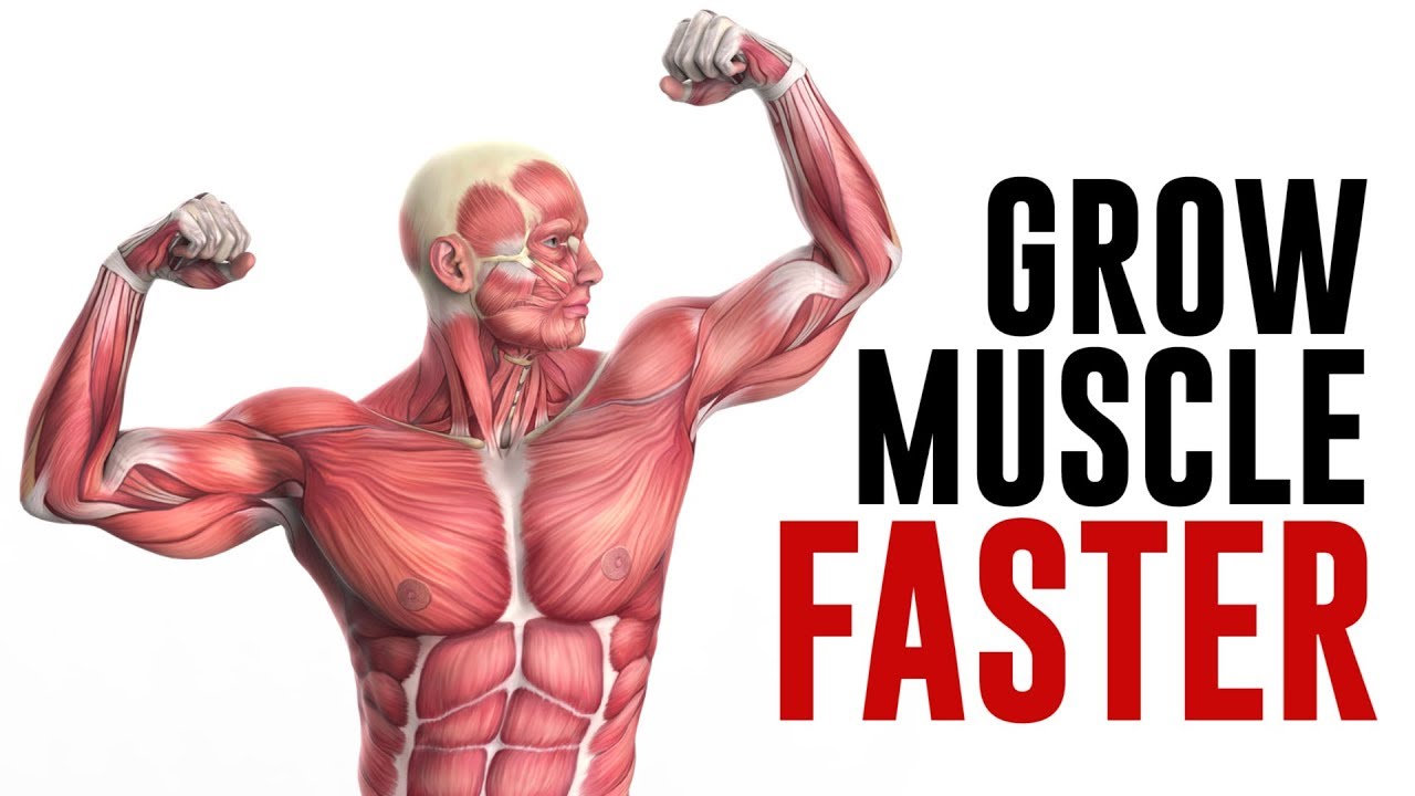 How to Grow Muscle FASTER! Key Factors to Build Muscle Explained