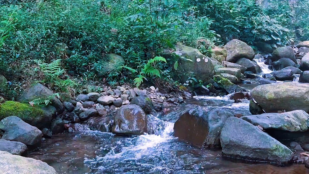 Soft River Ambience for Stress-Free Sleep