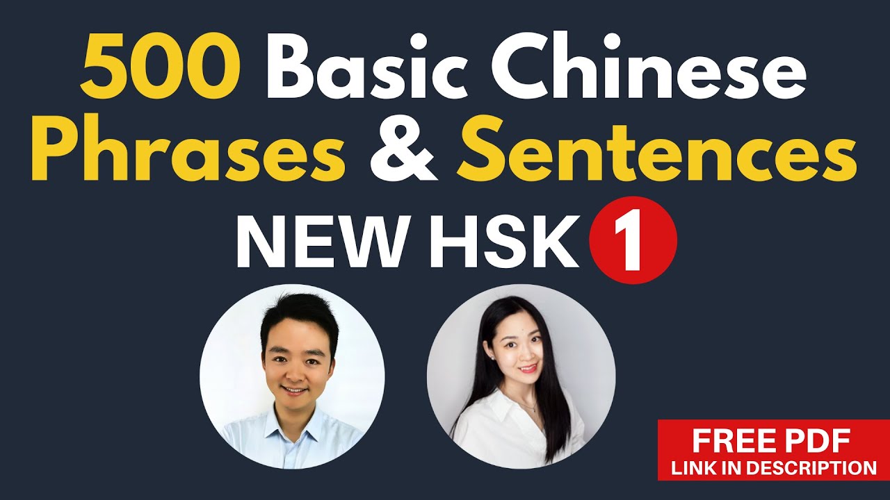 Basic Chinese Words in Phrases & Sentences for Beginners New HSK 1 Vocabulary 500 Words Examples