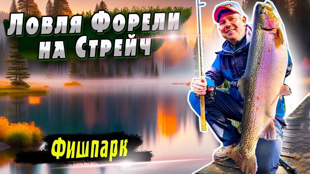Стрейч силикон | Стоячка против проводки | Фишпарк