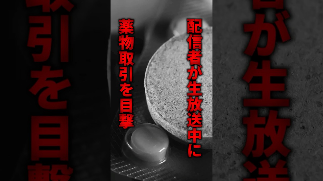 人気配信者がヤバいものを発見