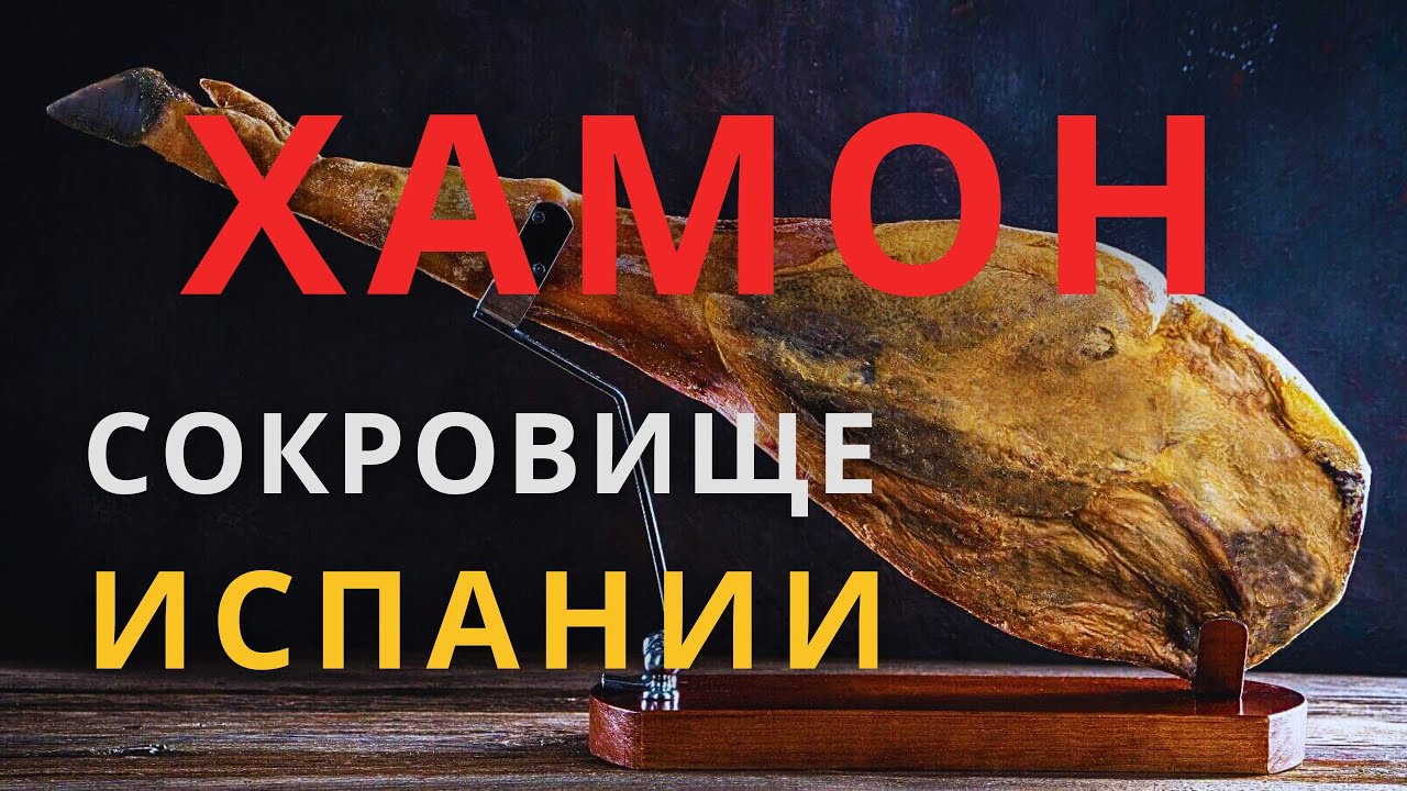 КАКОЙ ХАМОН САМЫЙ ЛУЧШИЙ В МИРЕ - ЛЮБОПЫТНЫЕ ФАКТЫ О ХАМОНЕ