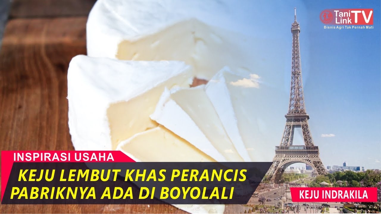 Cara Membuat Keju Khas Perancis (Camembert) - Keju Indrakila