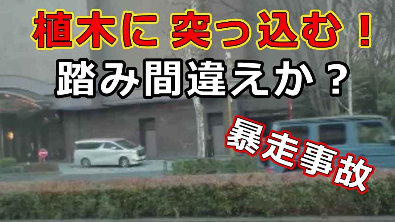 迷惑運転者たち　No.2498　植木に　突っ込む！・・踏み間違えか？・・暴走事故・・【危険運転】【ドラレコ】【事故】【迷惑】【煽り運転】