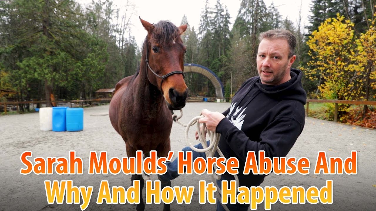 Horse Abuse Demystified: How And Why Sarah Moulds Kicked And Smacked Her Horse In Front Of Children
