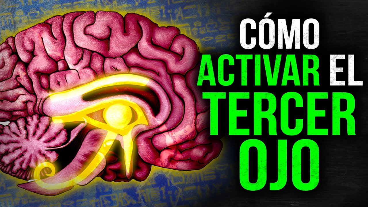 El Proceso de Activación de la Glándula Pineal (¡explicación extremadamente detallada!)