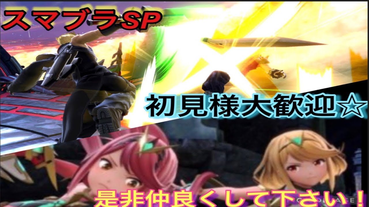 【スマブラSP】生存確認