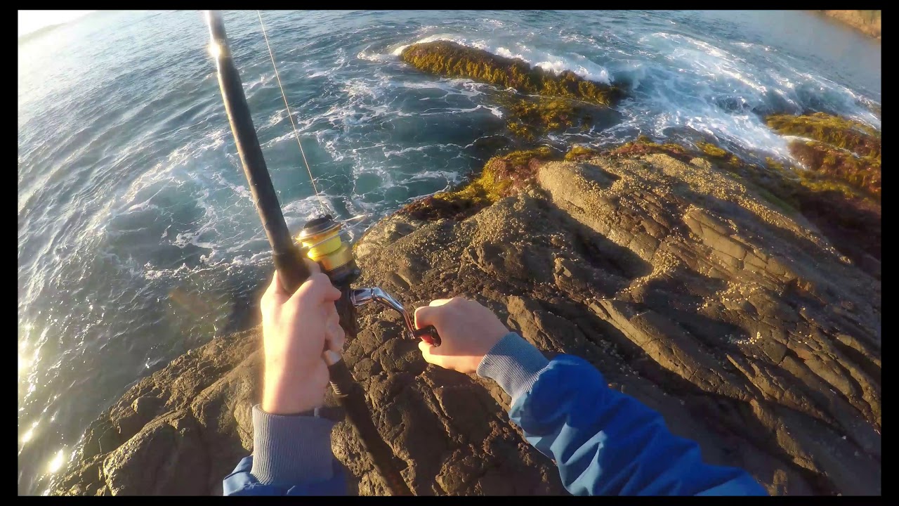 Fishing at Fingal Bay
