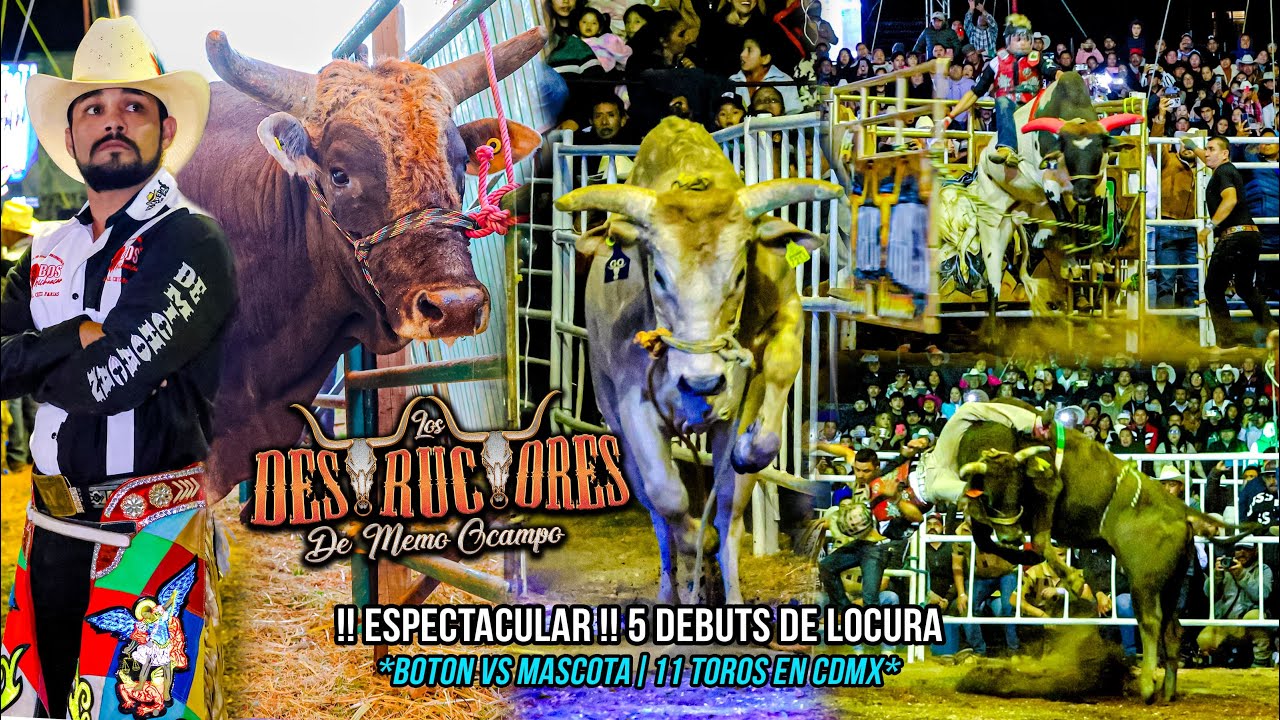 !!ESPECTACULAR!! 5 DEBUTS DE LOCURA | BOTON VS MASCOTA | Destructores San Andres Totoltepec CDMX ´24