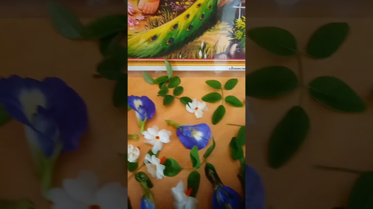 #sivar