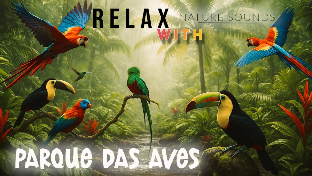 Tranquil Moments with Brazil's Exotic Birds | PARQUE DAS AVES [ RELAXING NATURE SOUNDS ]