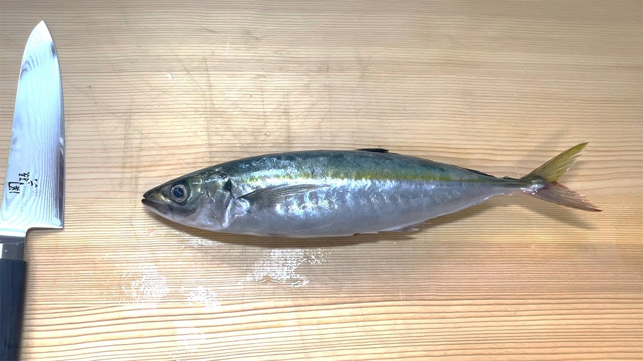 How to make Sashimi【Anberstripe scad】