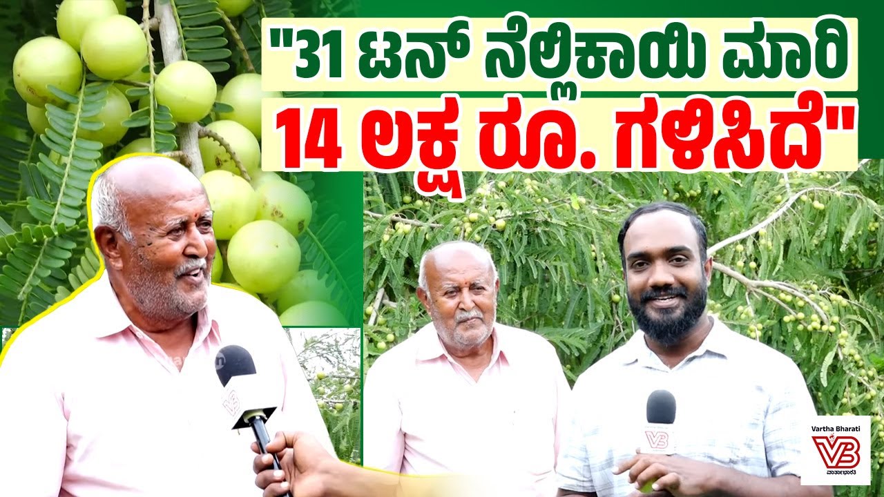 ಹೈದರಾಬಾದ್ ನ ಆ ಕಂಪೆನಿಗೆ ನೆಲ್ಲಿ ಕೊಟ್ಟು 12 ಲಕ್ಷ ಕಳೆದುಕೊಂಡೆ : ರಾಜಣ್ಣ | Yelahanka | Gooseberry farming