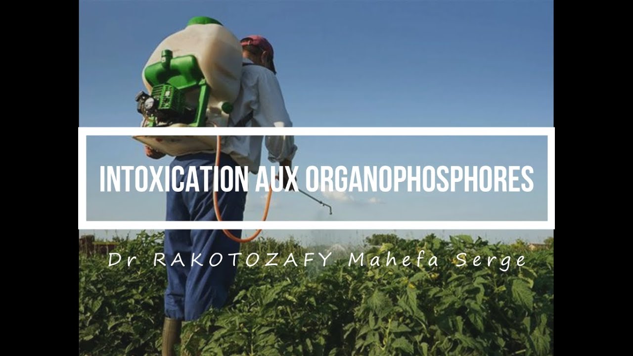 INTOXICATION AUX ORGANOPHOSPHORES (RECOS-URG-2023)