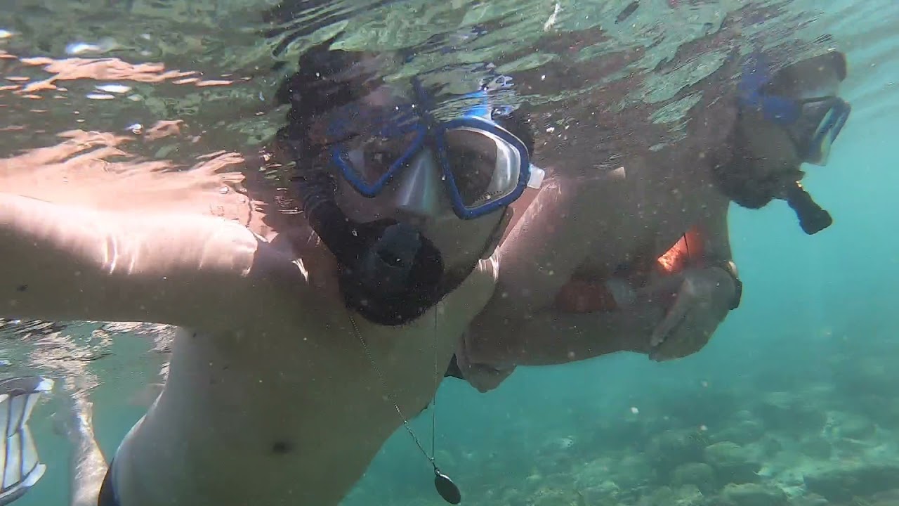 Snorkeling in Snoopy Island, Fujairah, UAE