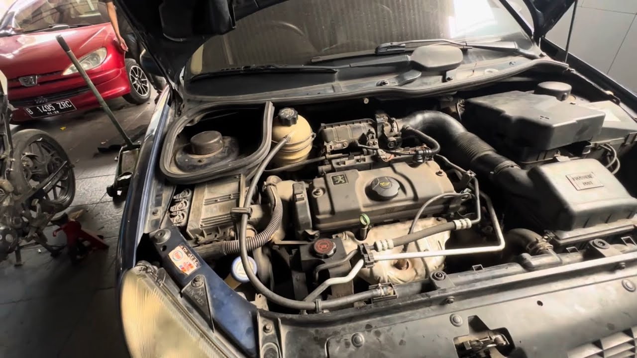 Kelemahan Peugeot 206 adalah ?? Tapi masih layak buat pemula￼