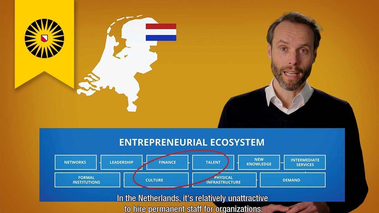 Entrepreneurial Ecosystems - The Dutch Entrepreneurship Paradox