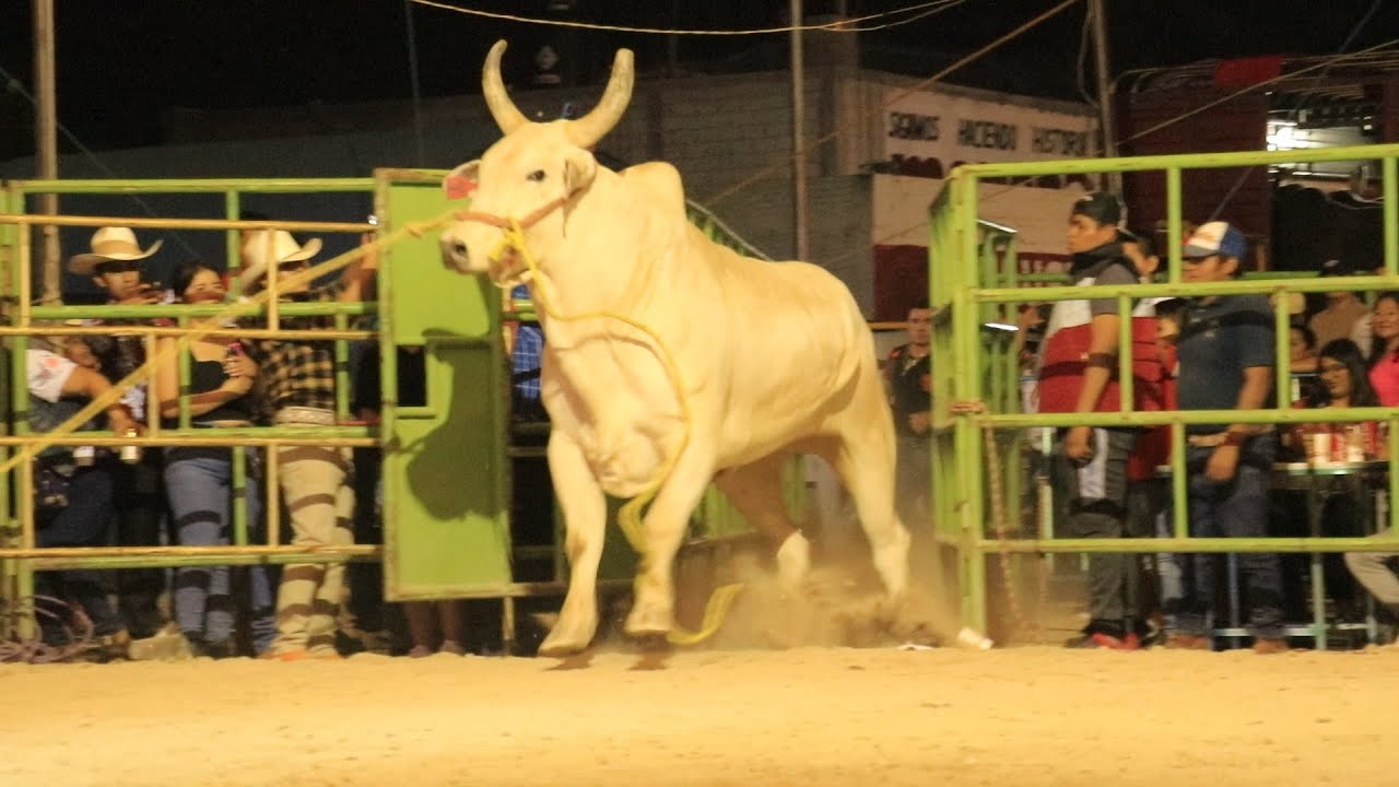 🔴 Monta KIKITO DE JALISCO en Vivo ATZIMBO MICHOACÁN 🔴 REYES DE JALISCO vs RANCHO 14 Diciembre 2024