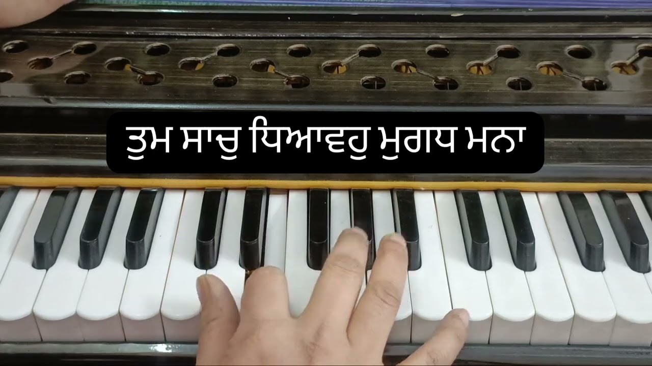Raag Basant (Tum Saach Dhiavoh Mugadh Mana) female scale #prabhleenmusicacademy #onlinelearning