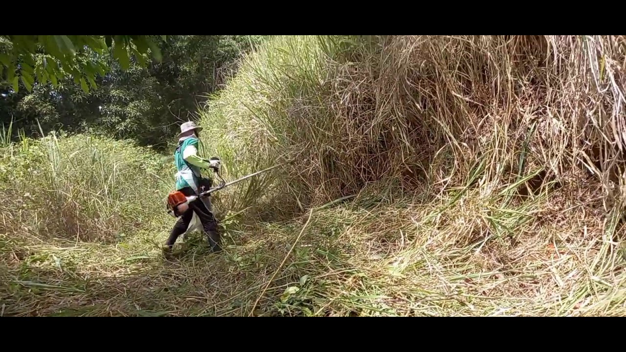 ro&ccedil;adeira 2 tempos forte G colocada a prova😬😬