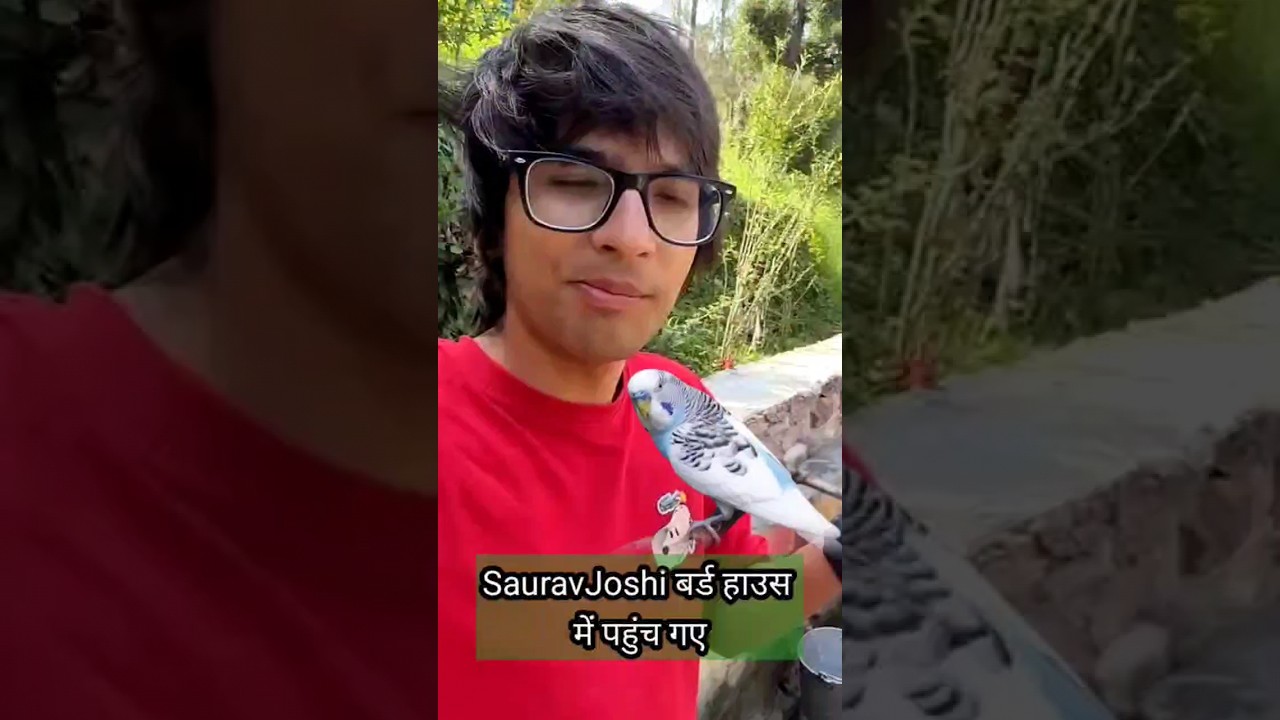 Saurav Joshi vlog ka hamshakal Bird house me 😂 | #ytshorts #birds
