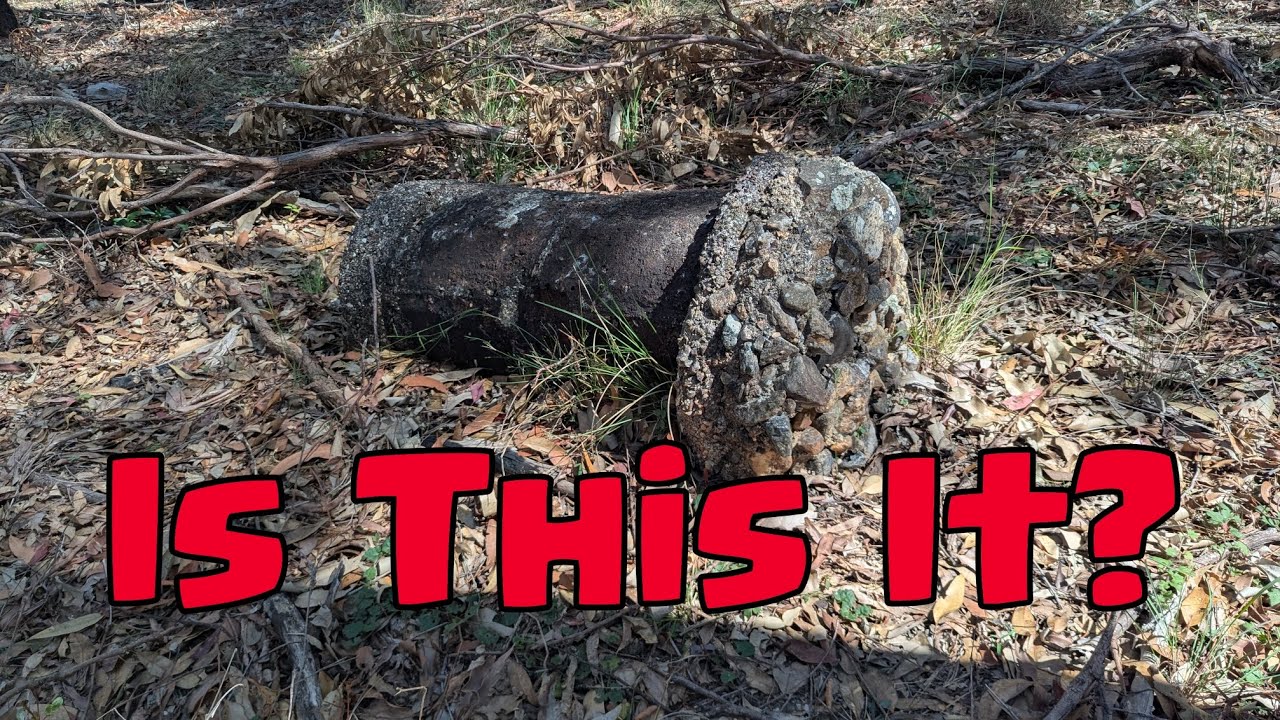 Is This It? Completed search of Chermside Hills Reserve