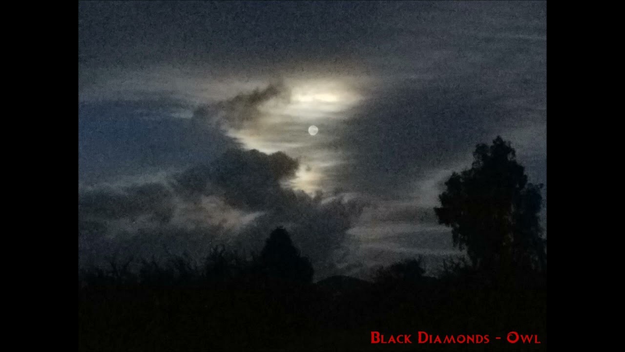 Black Diamonds - Owl