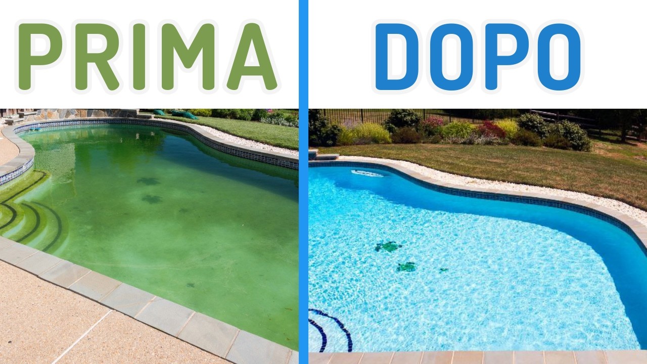 Da acqua verde a piscina limpida e cristallina (in 10 passi)