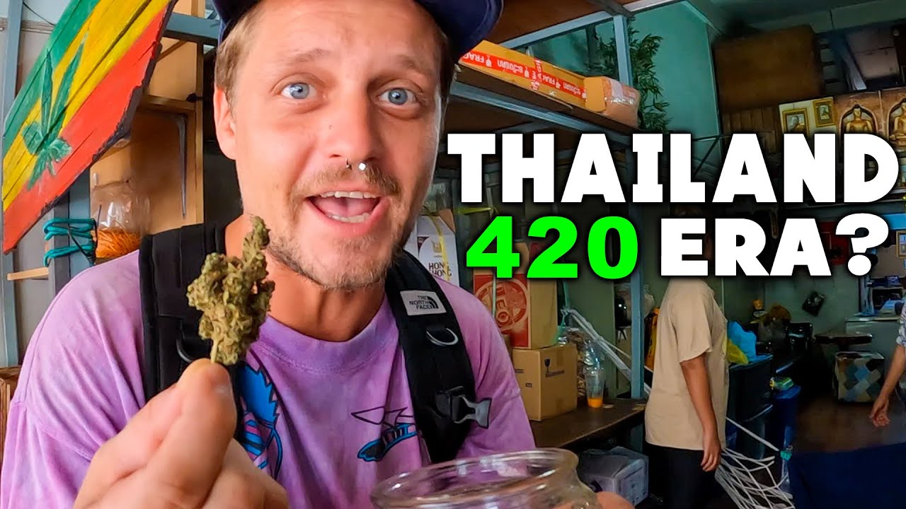 Cannabis Scene in Thailand | The Start of a New Era