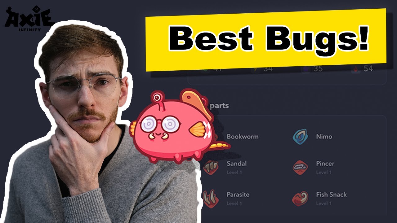 Best Bug Cards - (Dec 2021) - What to Buy and Breed?