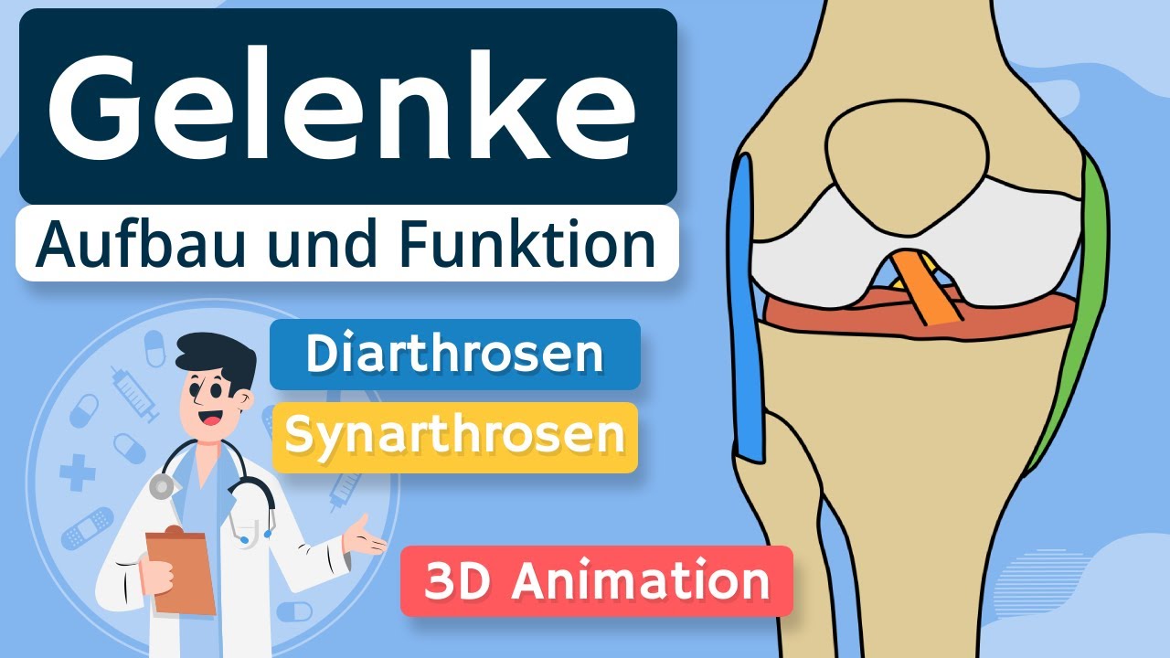 Gelenke - Aufbau und Funktion einfach erkl&auml;rt | 3D Animation