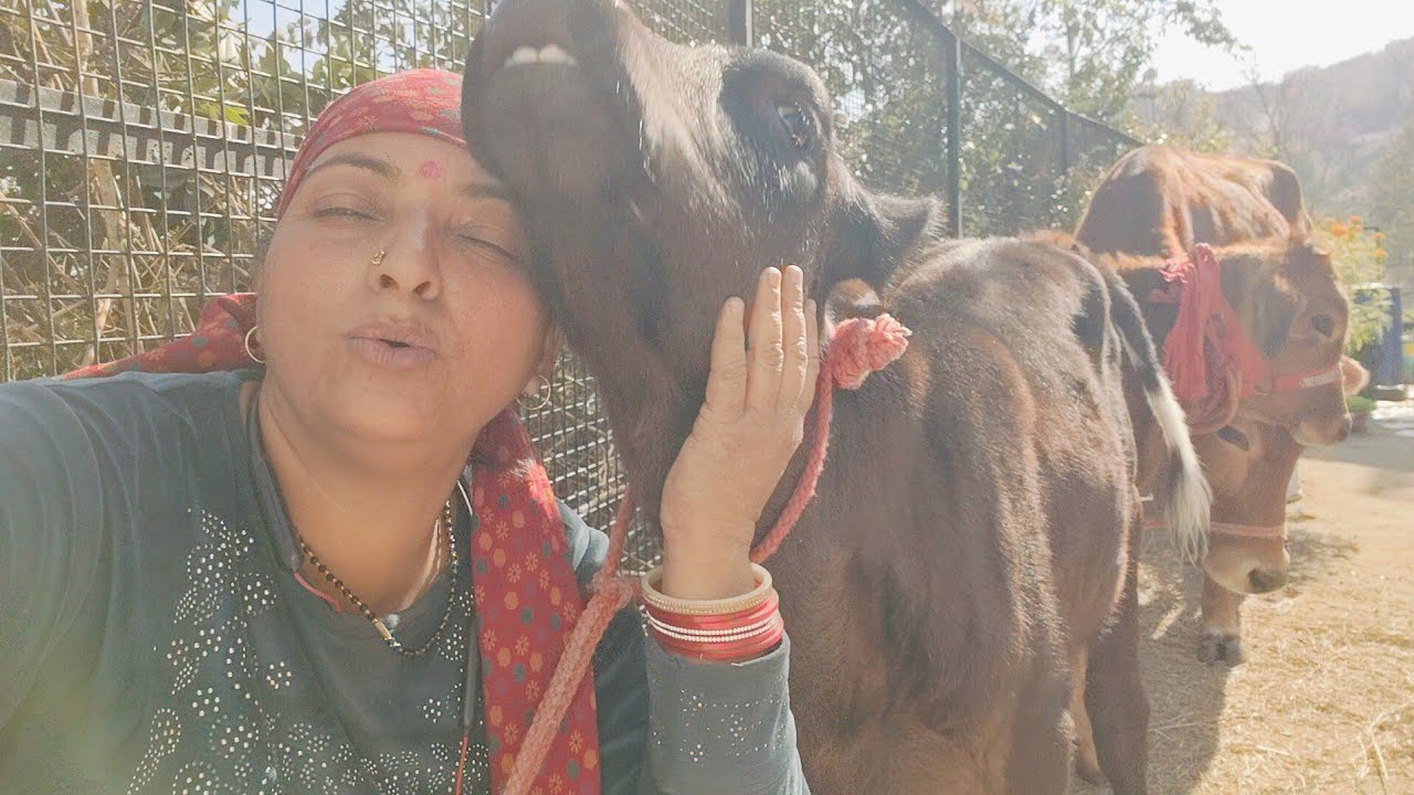 मेरी बगिया में खिली है सुंदर चीज़ें, देखो आओ