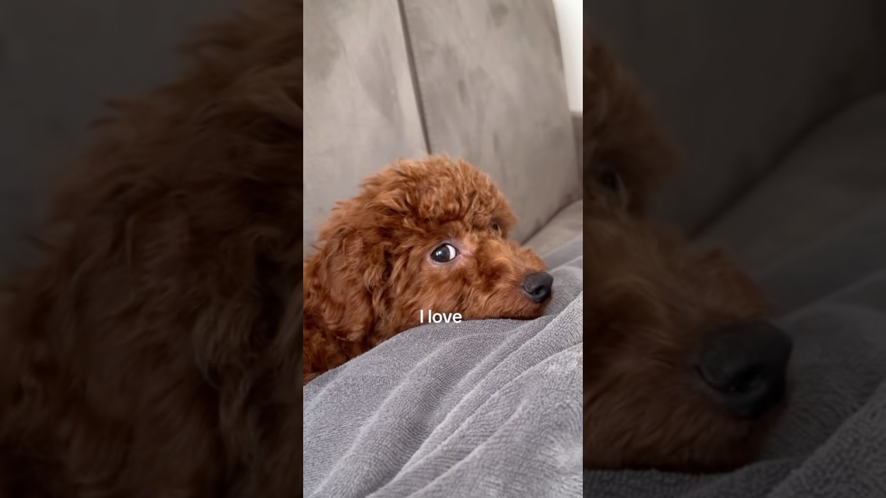 😁😍 