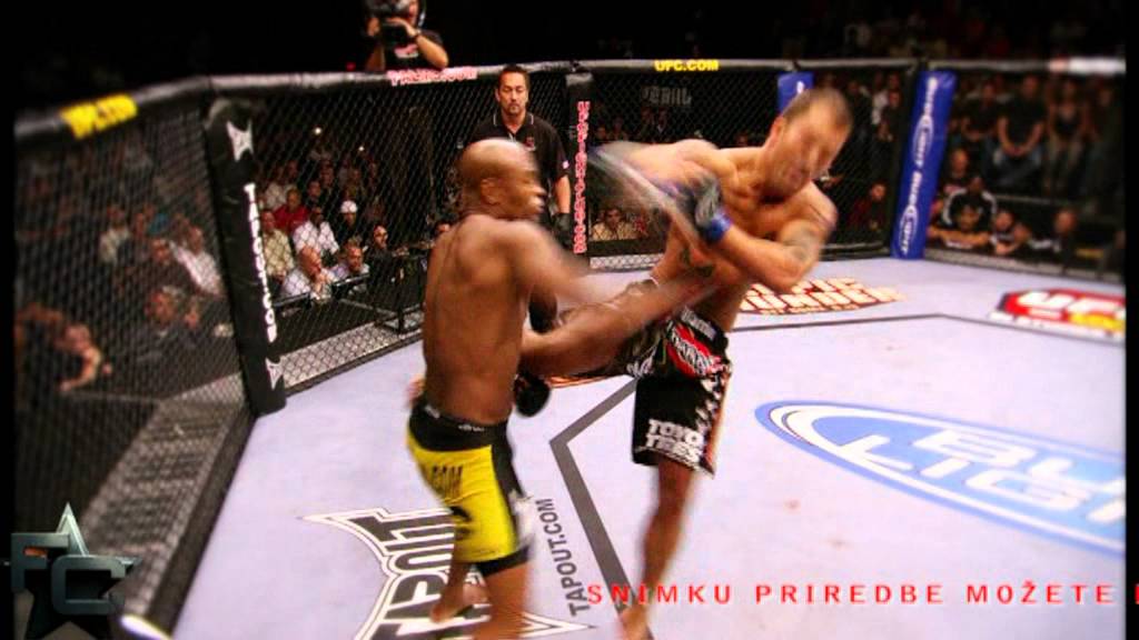 UFC 134 