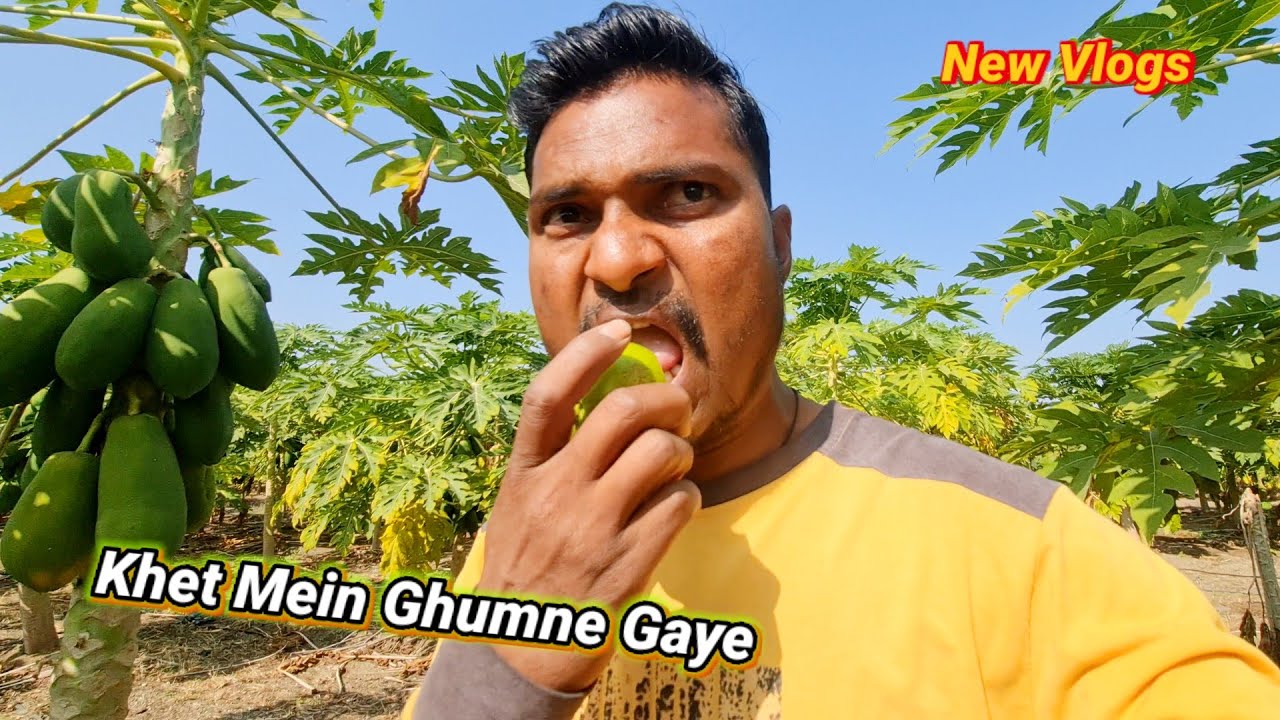 Khet Mein Ghumne Gaye New Vlog 🤩||#couplevlogs #familyvlog #vlogger 