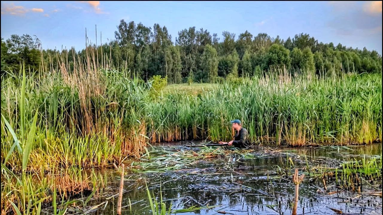 Расчищаю болото, делаю озеро вручную. Плавают лини и щуки