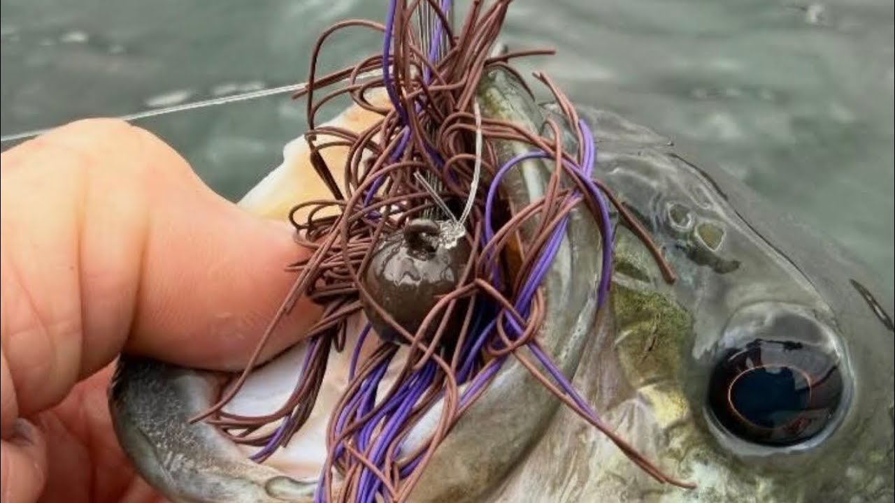 The Reason You Struggle To Catch Bass On Jigs