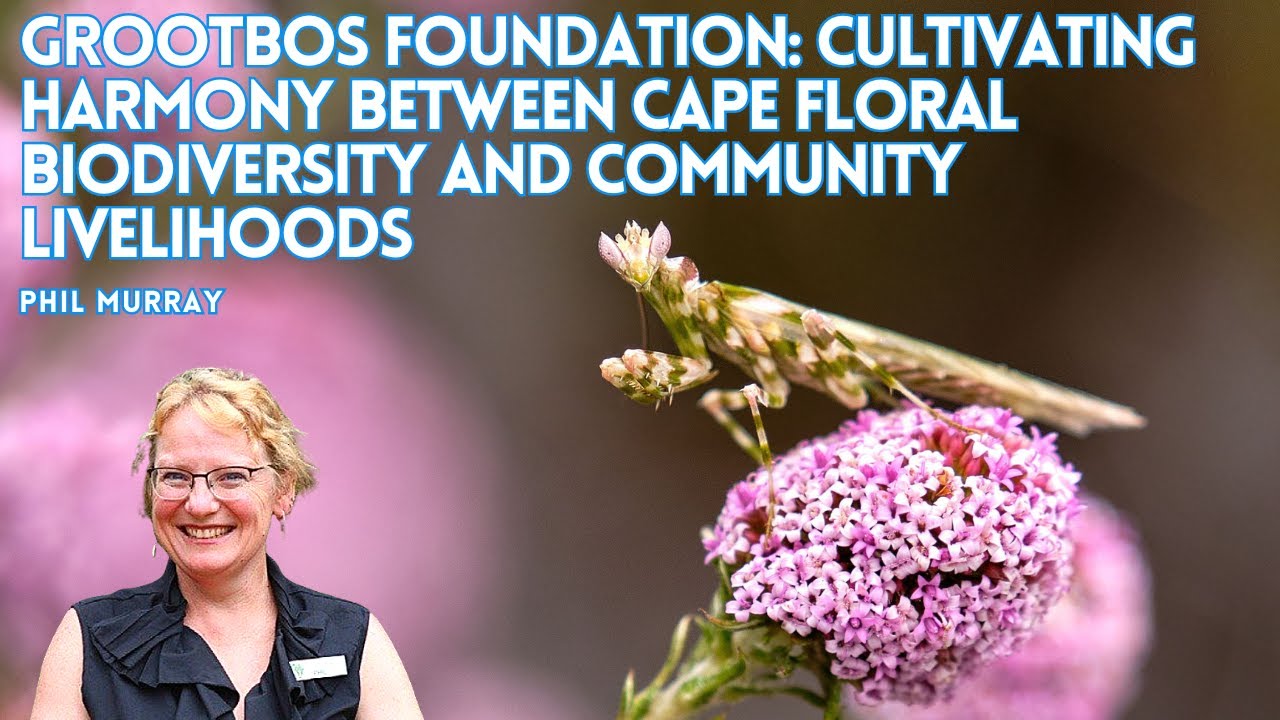 Grootbos Foundation: Cultivating  harmony between Cape floral biodiversity and community livelihoods