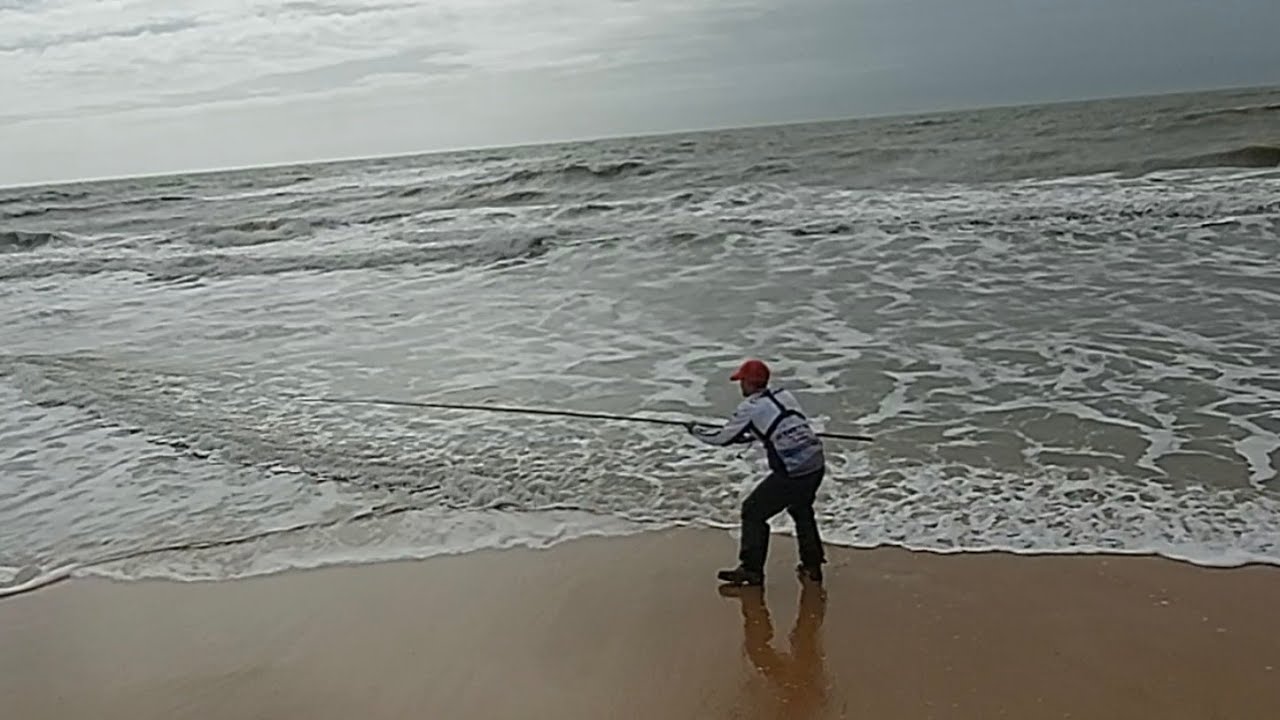 surfcasting (primer temporal gran captura y picadas xl )